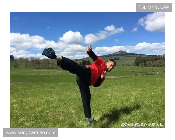 赛法斗：踢击独尊的优雅格斗艺术